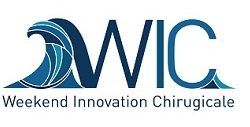 InSimo Simulation Software @ WIC