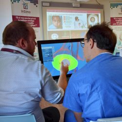 diSplay - surgical planning simulation