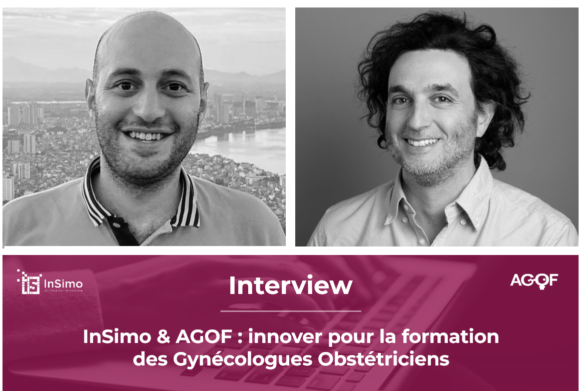AGOF et InSimo_VFR