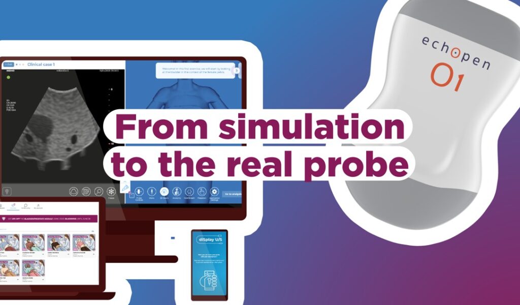 InSimo & echOpen_From simulation to real probe