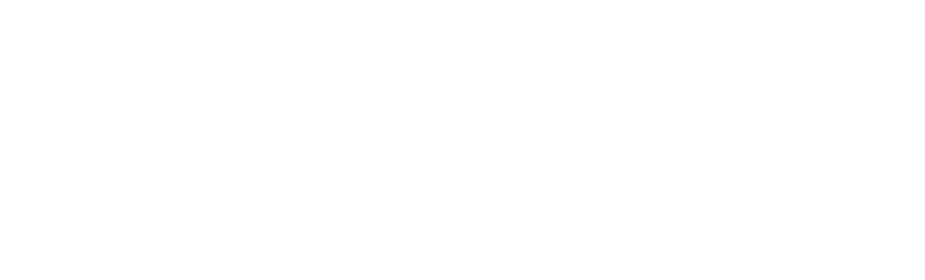 InSimo