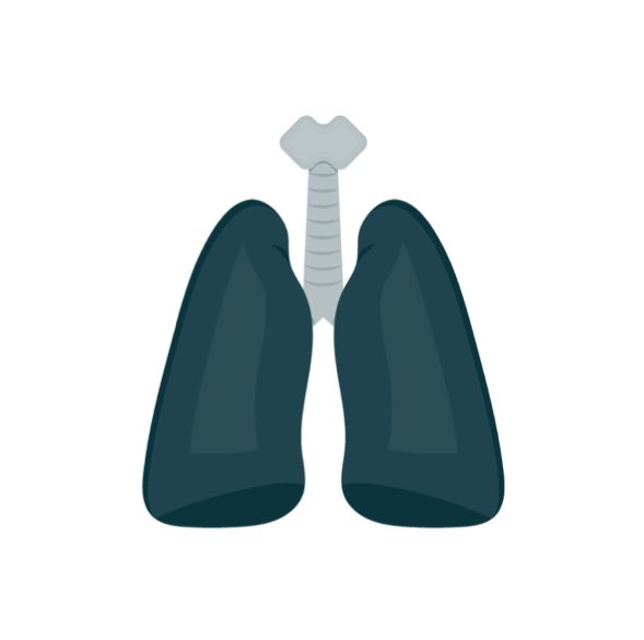 Sim&Care Chest